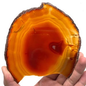 Può includere: Una fetta di agata lucida con bande concentriche di tonalità arancioni e rosse. La pietra naturale presenta un bordo ruvido marrone scuro e un nucleo centrale rosso intenso. L'agata è tenuta in mano, mostrando i suoi motivi unici e la sua bellezza naturale.