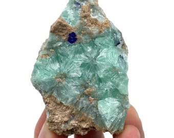 87 Grams Natural Flower Aragonite with Blue Azurite, | Afghanistan Mineral Specimen, | Collector Display Piece