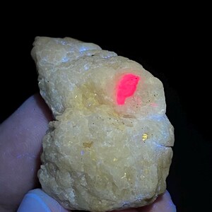 Może przedstawiać: Surowy, bladożółty okaz minerału o krystalicznej, teksturowanej powierzchni. W świetle ultrafioletowym na górnej części kamienia widoczna jest wyraźna, jaskrawa, neonowo-różowa fluorescencyjna plama kontrastująca z żółtym ciałem.