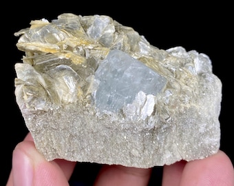 Cristal d'aigue-marine naturelle sur muscovite | Spécimen d'aigue-marine du Pakistan | Minéral de béryl bleu | Cristal de collection | Pierre de guérison