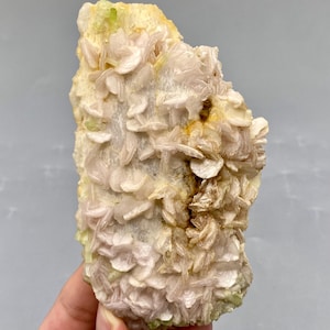 May include: A natural mineral specimen featuring a layered structure with a pale yellow base and clusters of delicate, petal-like formations in shades of cream and light pink. The mineral has a rough, textured surface and a unique, organic appearance.