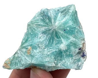 Flower Aragonite with Blue Azurite, Afghanistan Mineral Specimen (36 Grams)