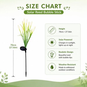 Pu&ograve; includere: Una lampada solare da giardino a forma di canna con punte a bolla, alta 70 cm. Il dispositivo presenta steli verdi con estremit&agrave; bianche a bolla, un pannello solare circolare e un picchetto. Il testo include SIZE CHART e Solar Reed Bubble Stick.