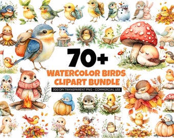 Watercolor Bird Clipart Bundle PNG, Cute Baby Birds Clipart transparent background, Watercolor Woodland Birds, Bird Sublimation, Birds PNG