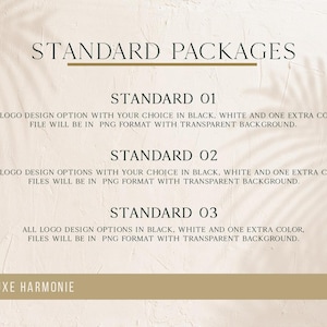 Pu&ograve; includere: Grafica beige con il testo "STANDARD PACKAGES" in alto. Sotto sono presenti tre opzioni: STANDARD 01, 02 e 03, che descrivono le opzioni di design del logo in nero, bianco e un colore extra, con file PNG e sfondi trasparenti.