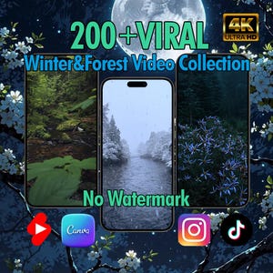 200+ Winter & Forest Videos – High-Quality Pack for Social Media And Content Creation