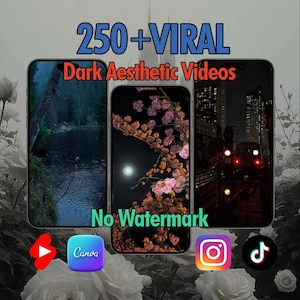 250+ Moody Night & Dark Aesthetic Videos – High-Quality Pack for Social Media And Content Creation