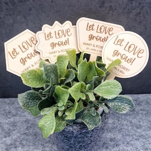 Peut inclure: Quatre marque-plantes en bois avec le texte "Let Love Grow!" et les noms Mary & Robert et la date du 3 avril 2023. Les marque-plantes sont dans un pot avec une plante verte.