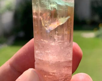 Turmalina Paprok bicolor terminada, pieza de coleccionista de 39 gramos.