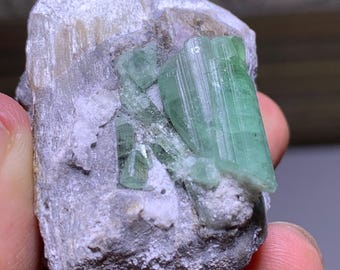 Turmalina verde sobre esquisto, pieza de coleccionista