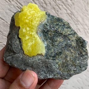May include: A rough, dark gray rock with a vibrant, textured yellow sulfur formation on top. The sulfur has a crystalline appearance, contrasting with the rock's coarse surface. The natural mineral specimen is a striking display of geological formations.