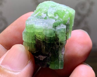 Turmalina cromada - Terminada - Cristal de coleccionista - Kunar, Afganistán