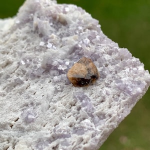 May include: A cluster of pale lavender crystalline mineral formations on a white matrix. A single, smooth, translucent brown gemstone with dark inclusions is embedded in the center of the light purple, textured, and sparkling mineral surface.