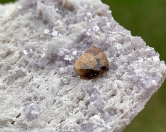 Afghan Microlite With Tourmaline & Lepidolite, Collectors Specimen