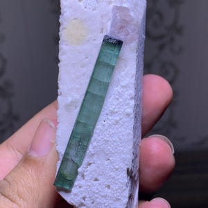 Puede incluir: Un espécimen mineral natural en bruto con un vibrante cristal de turmalina verde incrustado en una matriz blanca. La turmalina tiene forma rectangular y alargada con una punta oscura. La matriz tiene una superficie rugosa y texturizada.