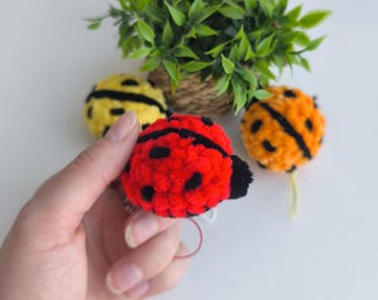 May include: A red, black, and yellow handmade ladybug pom-pom. The ladybug is held in a hand, with two other pom-poms in the background. A small green plant is in a woven basket in the background.