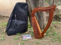 Handmade Rosewood Irish Lyre Harp - 12 nylon Strings, Carry Bag & Tuning Key product logo
