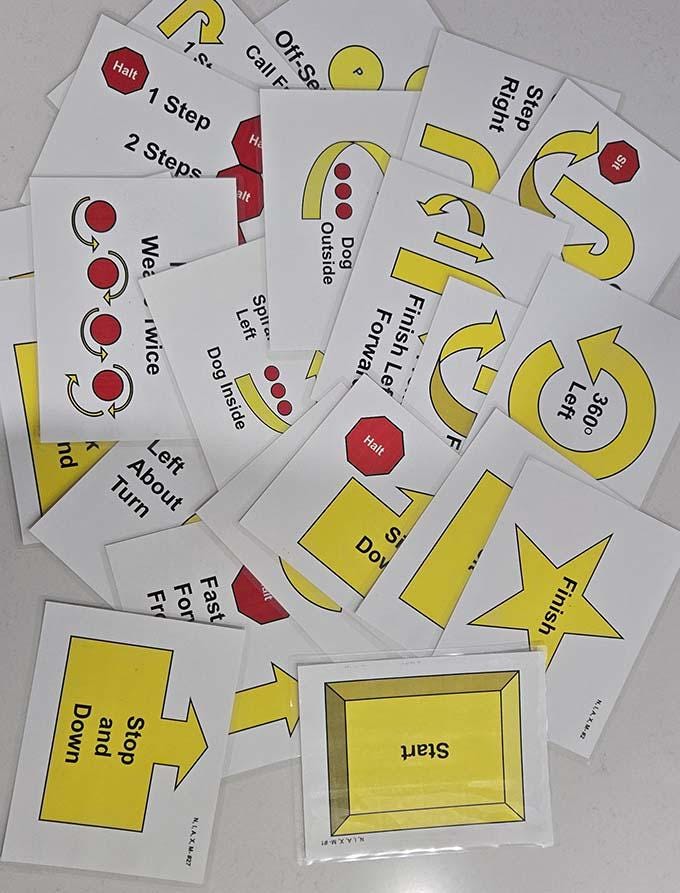 Novice Signs AKC Rally Signs – Novice Level With Descriptions on Back – Laminated or ...