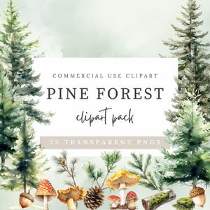 Lot de cliparts forêt de pins à feuilles persistantes - Aquarelles d'arbres, de cônes, de branches et de feuillage rustique