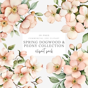 May include: A digital clipart pack of 29 watercolor illustrations of pink dogwood and peony flowers. The flowers are arranged in a bouquet style with green leaves. The text "Spring Dogwood & Peony Collection clipart pack" is displayed in the center of the image.