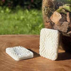 May include: Two rectangular, off-white soaps with a textured, wave-like pattern. One soap is lying flat, while the other stands upright. The soaps are on a wooden surface, with a glass terrarium in the background.