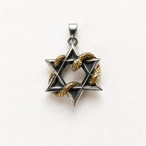 Könnte beinhalten: Silberfarbener Anhänger mit einem Davidstern-Design, umgeben von einer goldfarbenen Schlange. Der Anhänger hat eine Öse für eine Kette und ist vor einem weißen Hintergrund platziert.