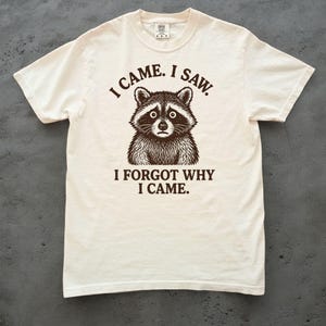 Funny Raccoon Shirt, I Came I Saw I Forgot Why I Came, Sarcastic Saying Tee, Humor Shirt, Gift for Men Women Adults. Comfort Colors funny t