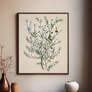 Vintage Flower Drawing - Printable Wall Art - Digital Download Art - Neutral Decor Art Print - Floral Wall Art - Digital Print