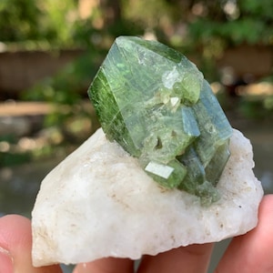 Green Diopside Crystal on Matrix Afghanistan 86.5g 54mm Terminated Specimen