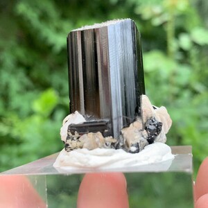 Tourmaline with Muscovite on Feldspar 29g Pakistan Terminated Standing Specimen