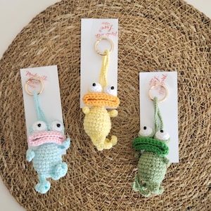 Handmade Crochet Frog Keychain & Bag Charm – Personalized Amigurumi Animal, Cute Gift for Book Lovers and Teachers