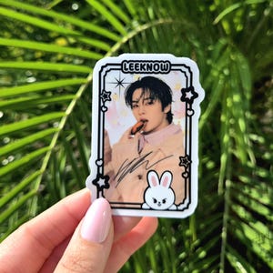 Stray Kids Aufkleber, Lee know Aufkleber, SKZ Aufkleber, Skzoo Aufkleber, Leebit Aufkleber, skz Aufkleber, Wasserflasche Aufkleber, Laptop Aufkleber, skz