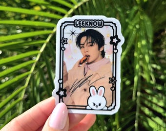 Stray Kids Lee Weiß Aufkleber, SKZ Leebit