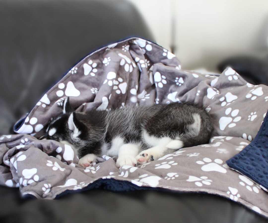 Personalized Pet Blanket, Gray Paw Print Minky Baby Blanket