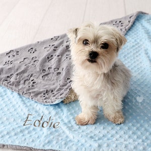 Minky Pet Blanket Etsy