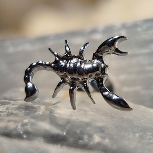 Op de afbeelding: Een zilverkleurige oorbel in de vorm van een schorpioen. De oorbel heeft een gedetailleerd ontwerp met een gebogen staart, meerdere poten en scharen. De schorpioen is hoogglans gepolijst, waardoor hij licht reflecteert en een glanzend uiterlijk krijgt. De achtergrond is wazig.
