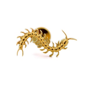 Gold Gothic Centipede | Flatback Stud Earring | Helix Tragus Conch Flat Cartilage Piercing | G23 Implant Titanium