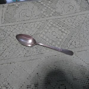 Vintage Holmes and Edwards Silverplate Serving Spoon: Floral Youth Pattern