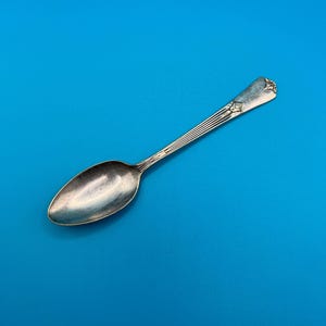 Vintage International Silver Co. Wm Rogers, Silverplate teaspoon, Sectional Pattern With Flowers on Handle