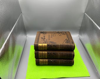 Three Antique Hardback Adventure Books: The Waverley Novels by Sir Walter Scott