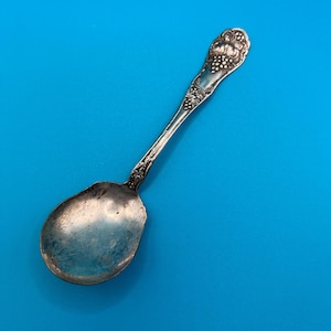 May include: Silver spoon with a decorative floral and grape design on the handle. The spoon has a rounded bowl and is set against a bright blue background. The spoon is likely vintage or antique.