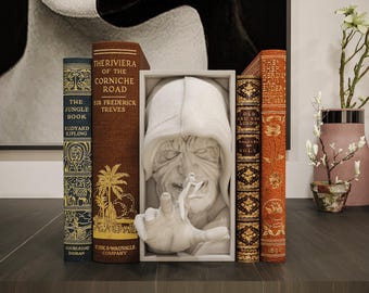 Emperor Palpatine Book Nook | Sith Shelf Insert | Sci Fi Book Decor | Dark Library Display