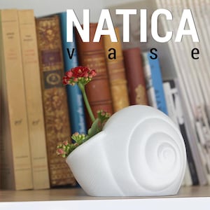 Customizable Natica Shell Vase - Unique 3D Printed Coastal Decor - Seashell-Inspired Planter - Nautical Home Accent - Ocean Gift Idea