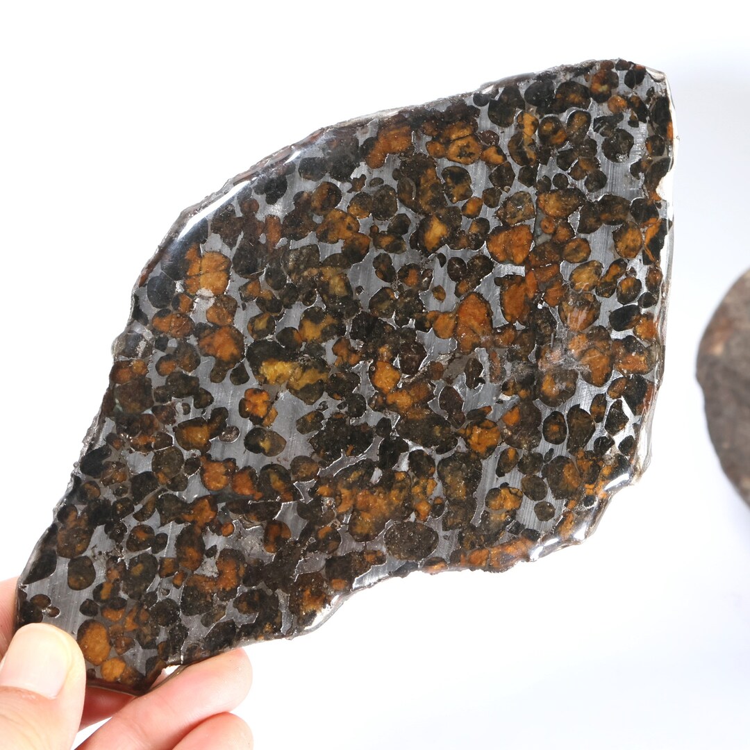 PALLASITE Meteorite Slice 174g ,rare SERICHO METEORITE Pallasite Olive — free download