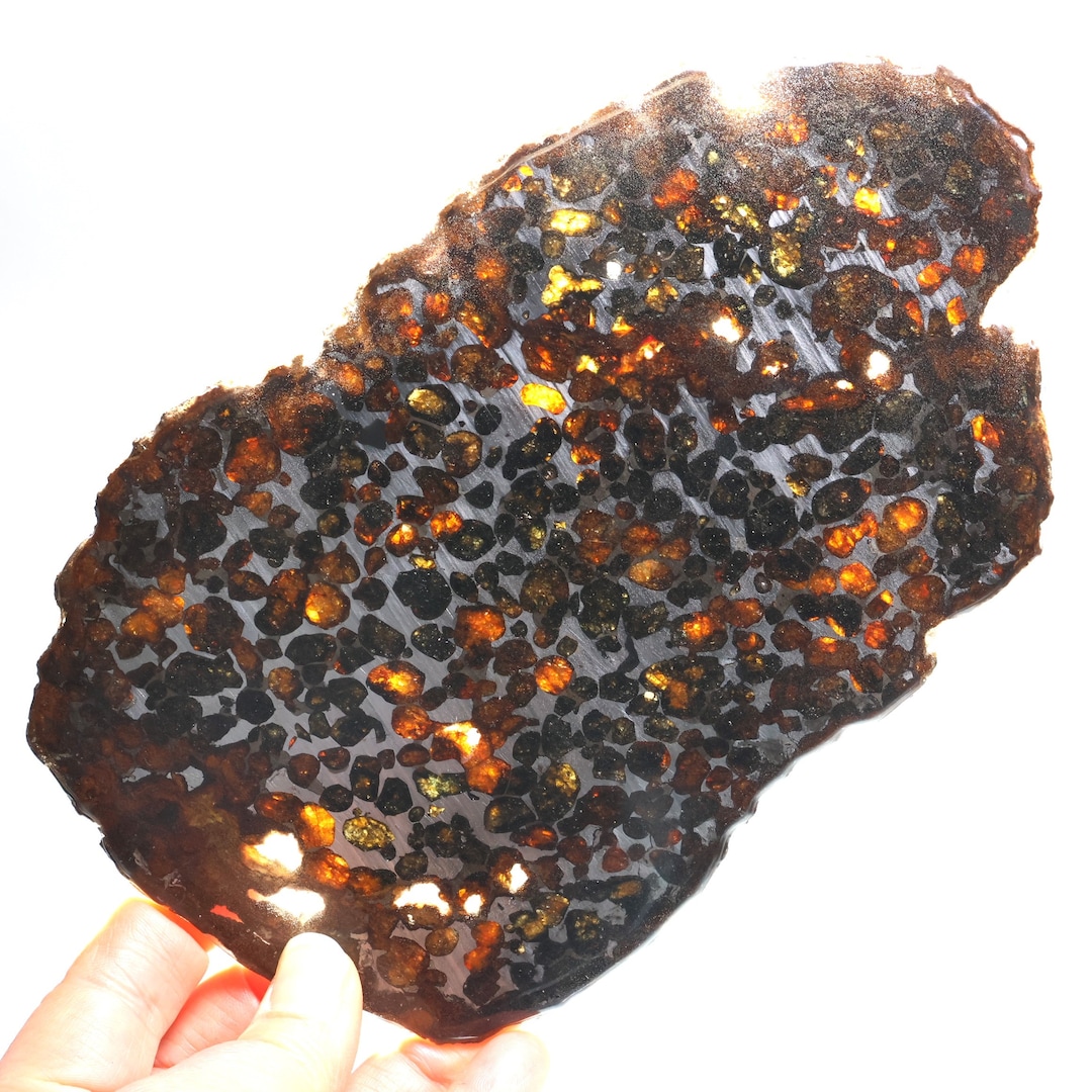 PALLASITE Meteorite Slice 183g ,rare Natural SERICHO METEORITE Olive — free download