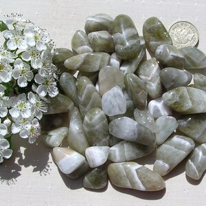 Piedras rodadas de cuarzo prasiolita verde - Chakras, sanación Reiki - Juego de 6