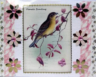 Puede incluir: Tarjeta decorativa con una ilustración detallada de un pájaro posado en una rama con hojas moradas. La tarjeta está enmarcada con flores decorativas y el texto "Female Bunting". El fondo tiene un diseño veteado rosa y blanco.