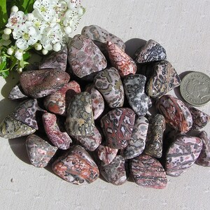 May include: A collection of tumbled leopard skin jasper stones. The stones are a mix of brown, grey, white, and pink with a mottled pattern.
