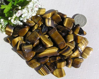 10 piedras caídas pulidas de cristal de ojo de tigre de oro, colección de cristal, cristales de chakra, piedra de meditación, cristal de confianza, ojo de tigre, Leo