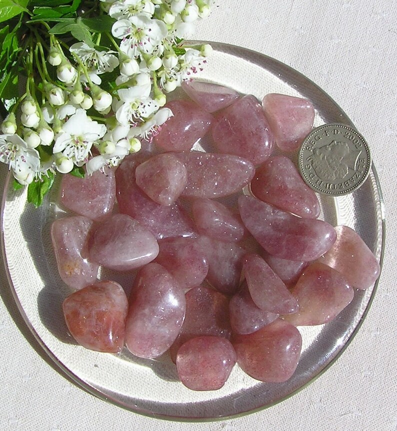Op de afbeelding: Een verzameling roze rozenkwarts trommelsteen op een heldere glazen plaat. De stenen zijn glad en hebben een natuurlijke, gepolijste afwerking.